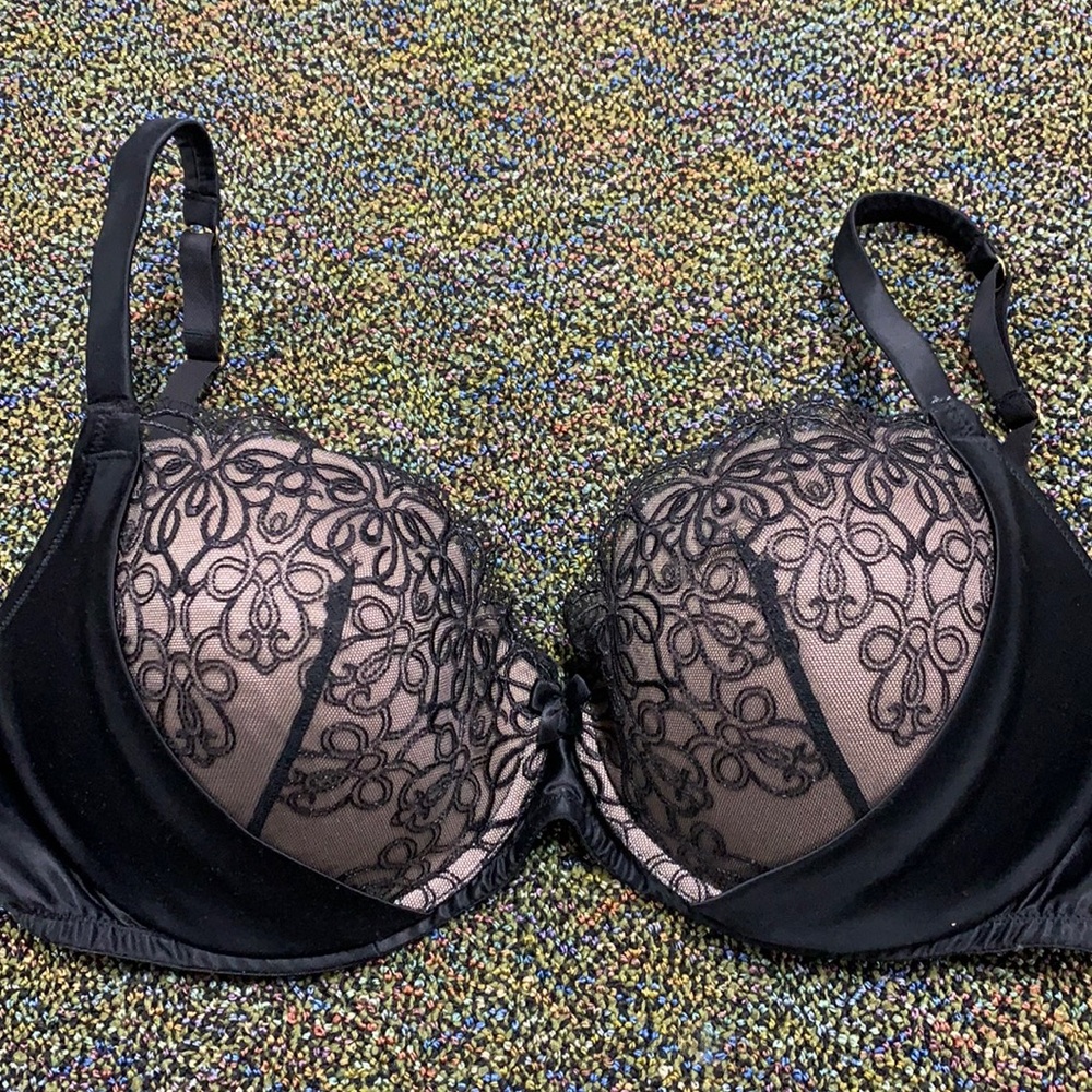 St. Bernard Bra